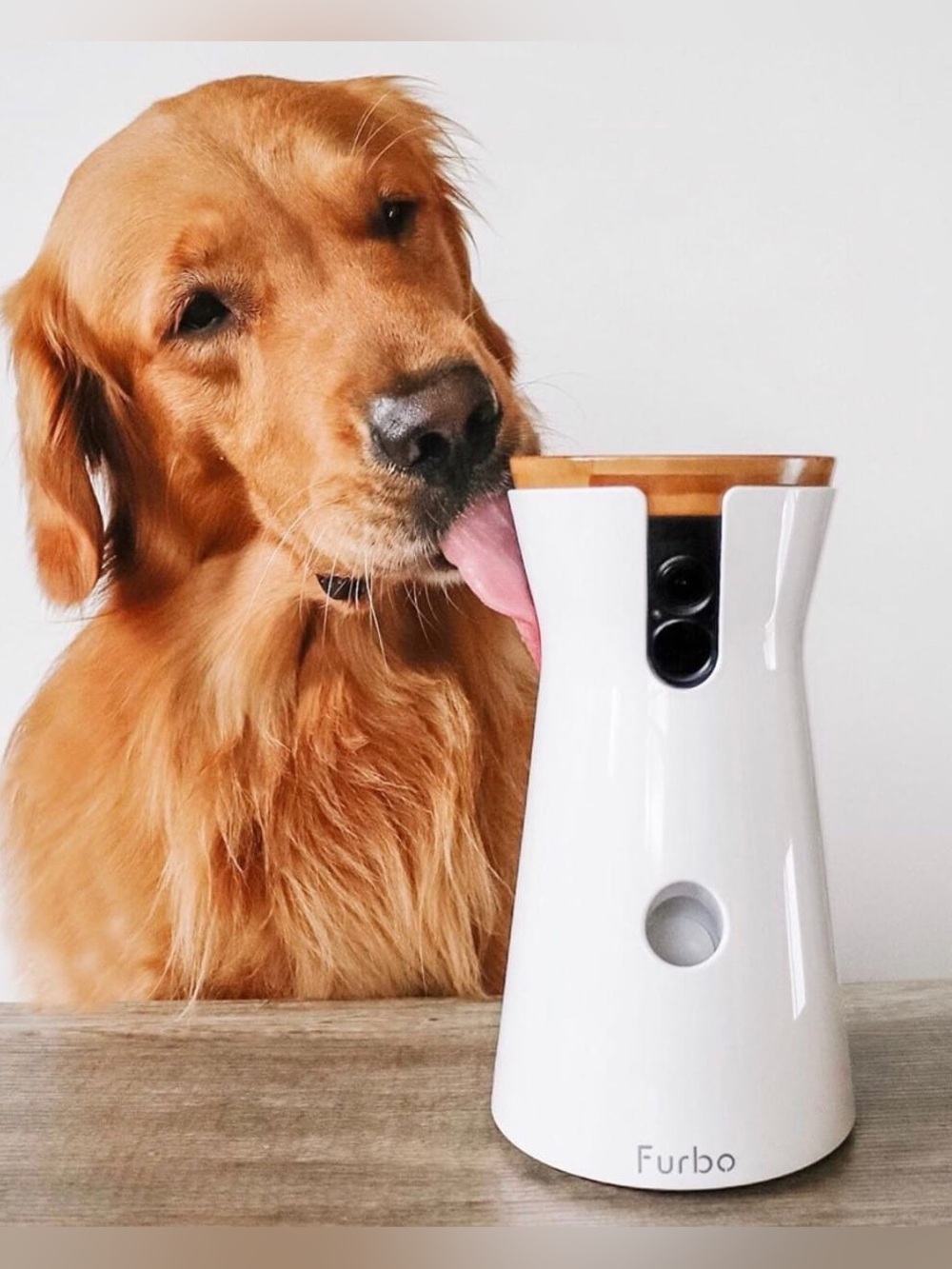 Furbo 2 Dog Camera & Treat Dispenser